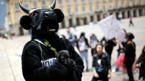 コロンビア国会、闘牛禁止の法案可決　許可は残り７カ国へ