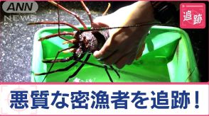 狙われる高級海産物「検挙の瞬間」サザエ次々と！　なぜ増加？中国SNSに“密漁動画”