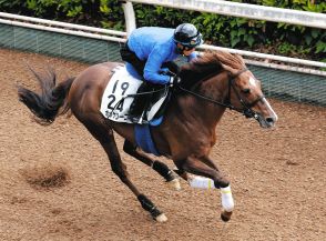 【鳴尾記念】ボッケリーニ、2着で連覇逃す　メンバー最速の上がり3Fタイムに「しっかり脚を使ってくれた」とモレイラ