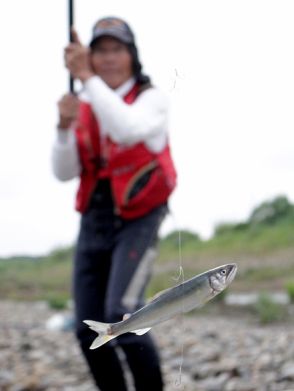 釣り情報【由良川】アユ釣り解禁　待ちわびた釣り人たちが竿伸ばす