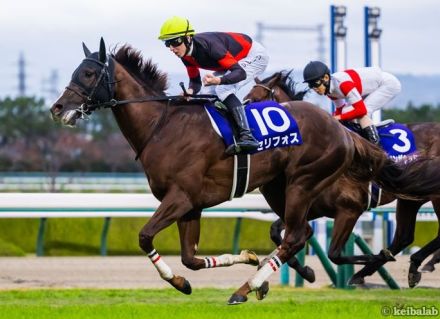 【安田記念】超がつくほどカンタン！8年続けて好走中の「激アツパターン」該当馬