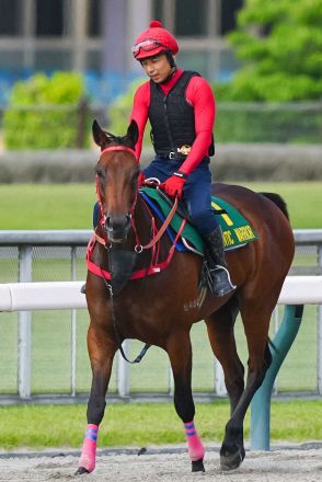 【安田記念】（7）ロマンチックウォリアー　“究極体”で挑む、シャム師「体調もいい」