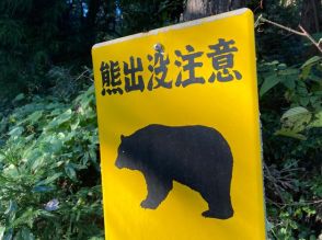 「敷地内をクマが横切った」宮城県気仙沼市でクマ1頭目撃