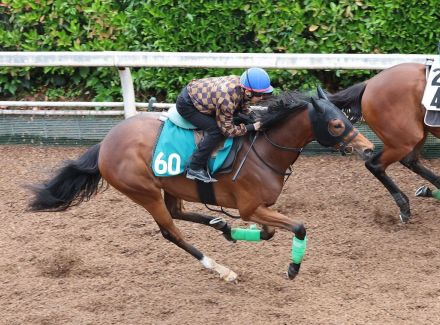 【今日の注目新馬】ネティフラウの母は米ＧⅠ馬　生野助手「スピードを生かした競馬を」／京都５Ｒ