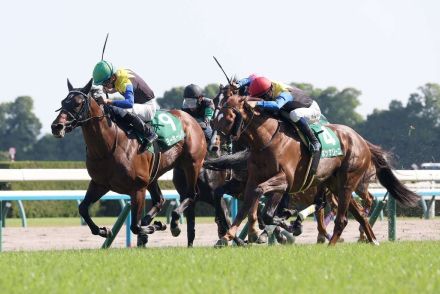 【鳴尾記念】ヨーホーレイク復活Ｖ　屈腱炎で２年２カ月休養から復帰３戦目