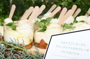 「食への感度が高い」軽井沢から新ブランド展開スタート　出来たてフレッシュチーズをレストランや移動販売で提供