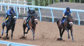 【安田記念】過去のデータから『消せる馬』…生き残った候補は7頭、連勝中のパラレルヴィジョンがあっと言わせるか