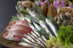 東日本で「魚がおいしい」と思う地域はどこ？　3つのエリアを紹介！