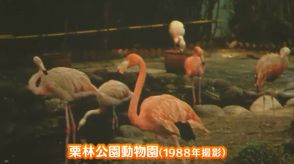 「あの球場やあの動物園も」懐かしい風景や市民の暮らしを収めた写真展　高松市歴史資料館で6月30日まで【香川】