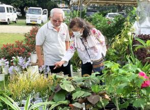 「ここに来たら、いろいろな植物がほしくなる」 多様な草花や盆栽ずらり　6月9日まで沖縄市で大植木市
