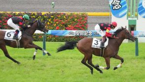 【東京6R新馬】3億円ホース、スターウェーブV　三浦「無事に勝ててホッとしています」