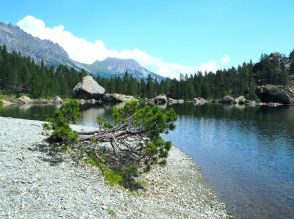 特殊な自然環境が息づく「アヴィック山自然公園」の登山道を1泊2日で歩き尽くす【ブーツの国の街角で】