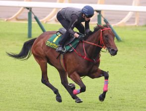 【安田記念】香港馬ロマンチックウォリアーがＧ１・８勝目　外国馬Ｖは18年ぶり４頭目