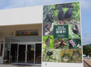 ヤンバルクイナがお出迎え　沖縄を代表する希少動植物の巨大看板設置　道の駅国頭