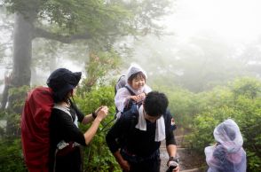 鳥取・大山が山開き　霧に包まれた幻想的なブナ林がお出迎え