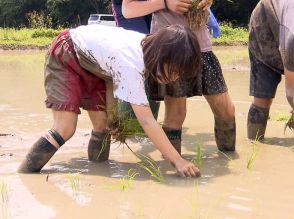 農業や食育学ぶ　親子で田植え体験　岐阜県山県市