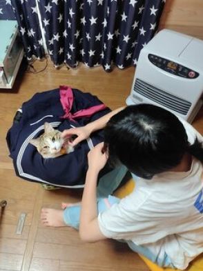 猫も衣替え？ あの「日本一有名」な猫と完全に一致！お姉ちゃんの『登校阻止』する猫が「どっちが学校に行くの？笑」と話題