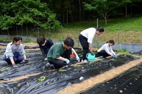 大学生グループが使われていない畑で野菜栽培　地域の人たちと交流しながら