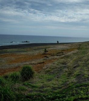 なぜ「日本兵1万人」が消えたままなのか…硫黄島に上陸してわかった「ひとつの答え」