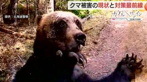 相次ぐクマ被害どうする!?　“保護”か“駆除”かで揺れる対応　一時絶滅の危機も過去最多に増加【島根発】