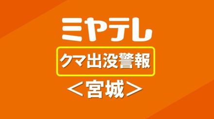 道路わきにクマ…運転手が目撃　体長１ｍほど　警察や学校が警戒を強める＜宮城・大衡村＞