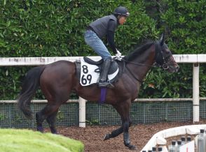 【函館ＳＳ・吉田の特注馬】切れ味抜群のジャスティンスカイに重賞初制覇を期待