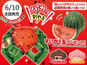 チロルチョコ「チロルのすいか割りBOX」2024発売、すいかゼリー味&チョコチップすいか味、熊本県産すいか1玉当たるキャンペーンも