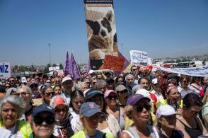 野犬の殺処分唱える法案に抗議デモ トルコ