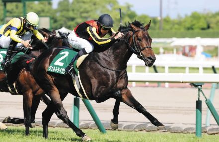 エプソムC　7歳馬・ヴェルトライゼンデ、約1年2カ月ぶりの復帰戦　池江師はG1でも好走しているコース相性の良さに期待