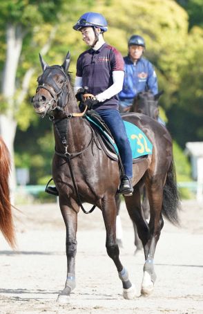 【東京新馬戦】グラフレナート　高い総合力　宮田師「スイッチが入ると凄い動きをする」