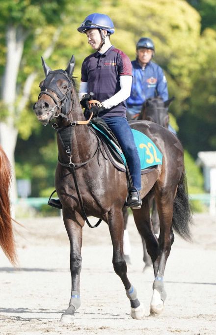 【東京新馬戦】グラフレナート　高い総合力　宮田師「スイッチが入ると凄い動きをする」