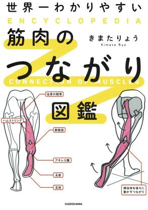 ストレッチトレーナーでも、整体師でもなく…わかりやすい「筋肉の動き方」図鑑の“意外な需要”があった職業とは