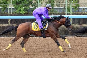 前走大敗レーベンスティール逆襲　田中博師「１歩踏み込んだ調整」巻き返しに手応え／エプソムＣ