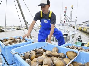 名産・ホッキ貝「身入り上々」　福島・相双沖で漁スタート