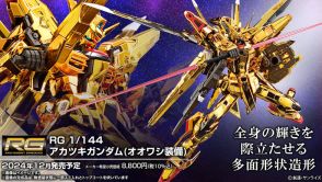 新作ガンプラ「RG アカツキガンダム」の商品画像が眩しすぎる！なんと「HG ゼウスシルエット」も装着可能