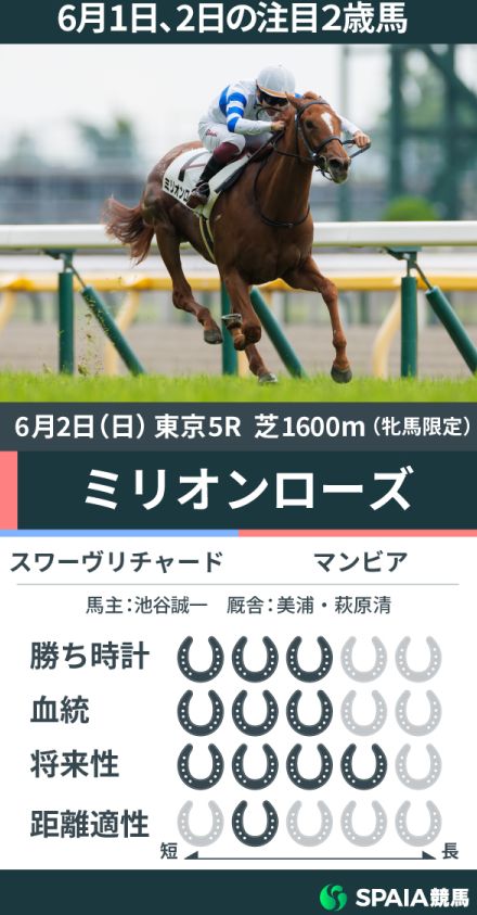 【注目2歳馬】雨を含んだ稍重馬場でラスト11.0-10.9の瞬発力　スワーヴリチャード産駒ミリオンローズが新馬戦V