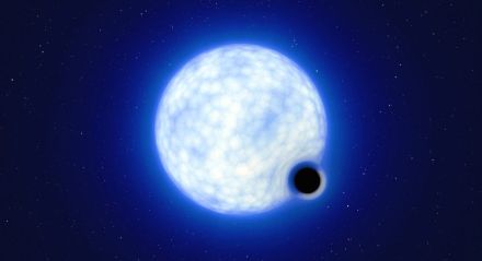 連星系「VFTS 243」のブラックホールが超新星爆発なしで誕生した仮説を裏付け