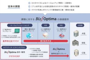 NTTデータ・ビズインテグラル、クラウドERP「Biz∫Optima」のIT業界向けテンプレートを提供