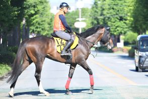 【エプソムカップ・耳より】ニシノスーベニア張りのいい馬体が目を引く　初の９ハロンも問題なし