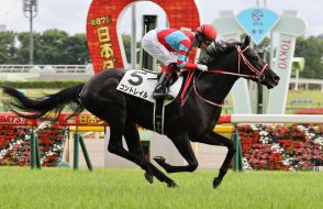 コントレイルが「顕彰馬」選定！ディープインパクトと父子で無敗３冠／JRA顕彰馬