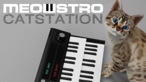 猫ちゃんがキーボードを演奏してくれるソフトウェア『Meowstro』のSteamストアページ公開。プレイヤーが入力した動きと猫が連動し、肉球でキーボードを押してくれる。2024年6月中に早期アクセス版が配信予定