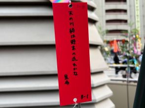 八王子駅北口商店会が俳句を募集　七夕飾りとして掲出へ