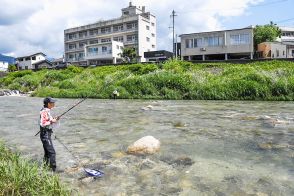 アユの友釣り解禁  太公望が釣り糸垂れる  天竜川水系【長野県】