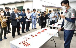 天童・やまがた紅王、出荷規格を確認　