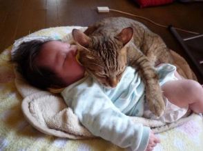 「16年目も一緒に」闘病中の飼い猫と娘の絆が熱すぎた