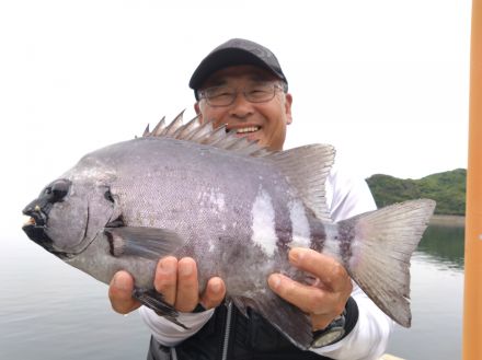 磯の王者・イシダイを狙う　“かぶせ釣り”に村越正海「面白いし、奥が深い！」