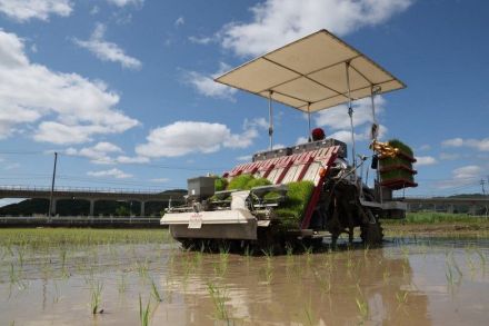 「芒種」 広がる青空、田植え進む　岡山県内 朝の気温は低め