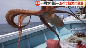 食べた人も漁をする人もニッコリの「恵比寿顔」　1000個のたこつぼを引き上げるゑべすだこ漁に密着【長崎発】