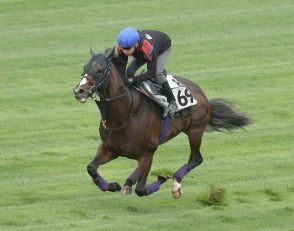 【函館スプリントS】ジャスティンスカイ　しまいをサッと、池添「息遣いも良かった」