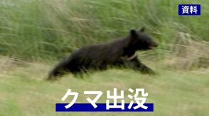 走行中の乗用車が飛び出してきた体長約1メートルのクマと衝突　運転していた女性にけがなし　秋田・能代市